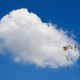 Illustration for article titled Study Finds Over 5 Million Birds Die Annually From Head-On Collisions With Cloudsem/em